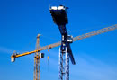 Grua